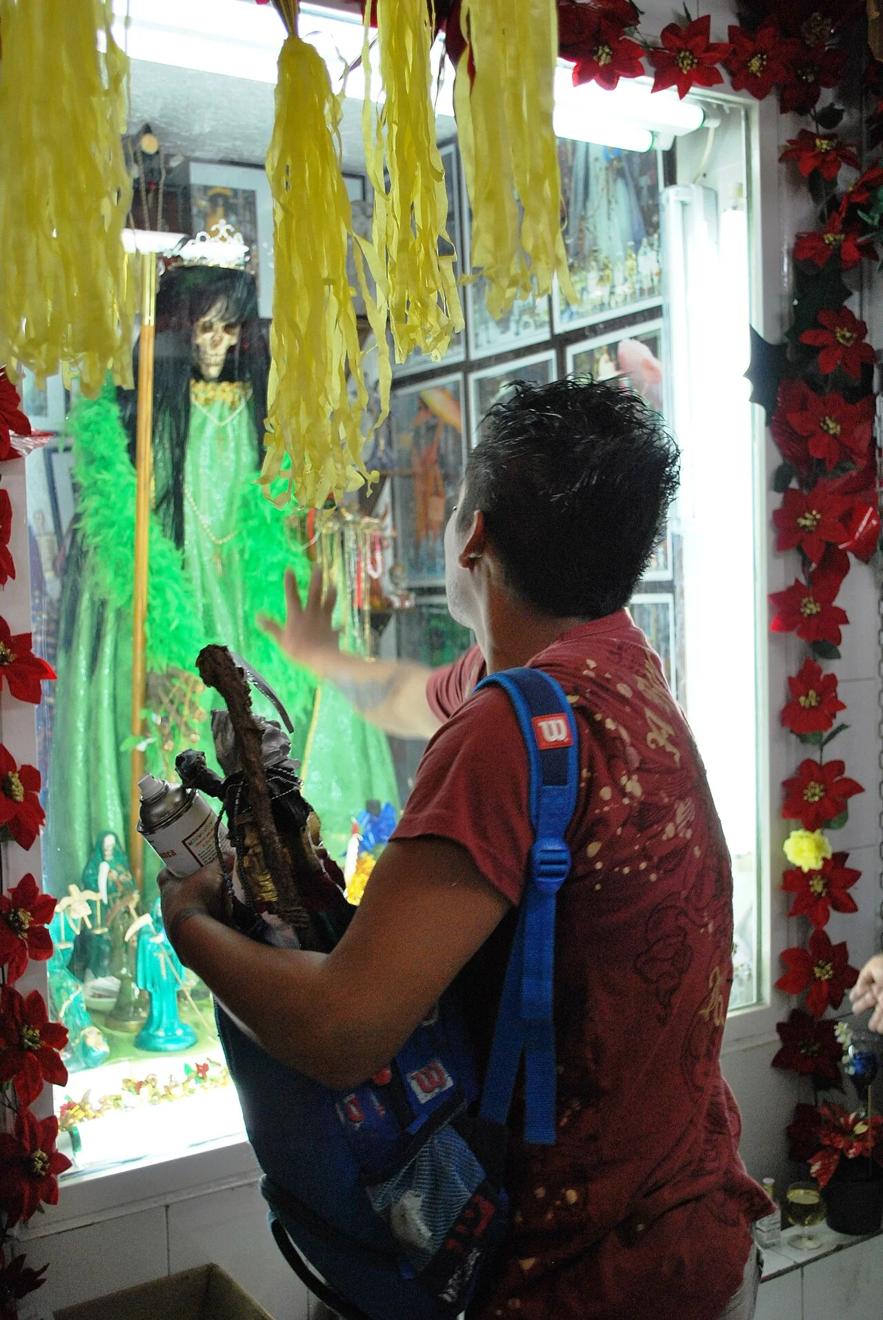 Photo of Higuera Blanca