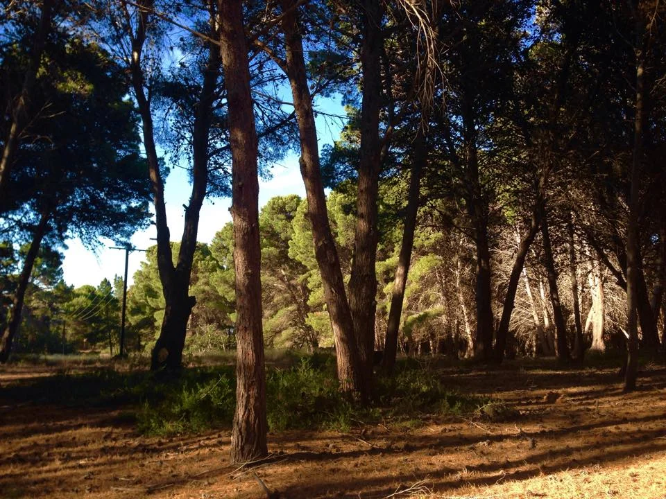 Photo of Hindmarsh Island