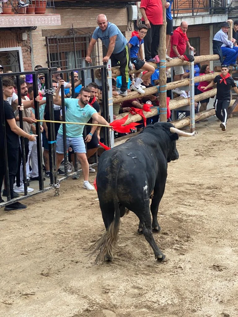 Photo of Hinojosa de San Vicente