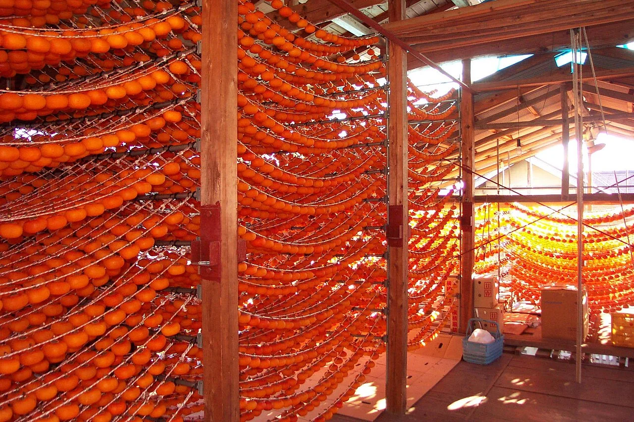 Photo of Hobaramachi