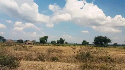 Photo of Hobicha Bada