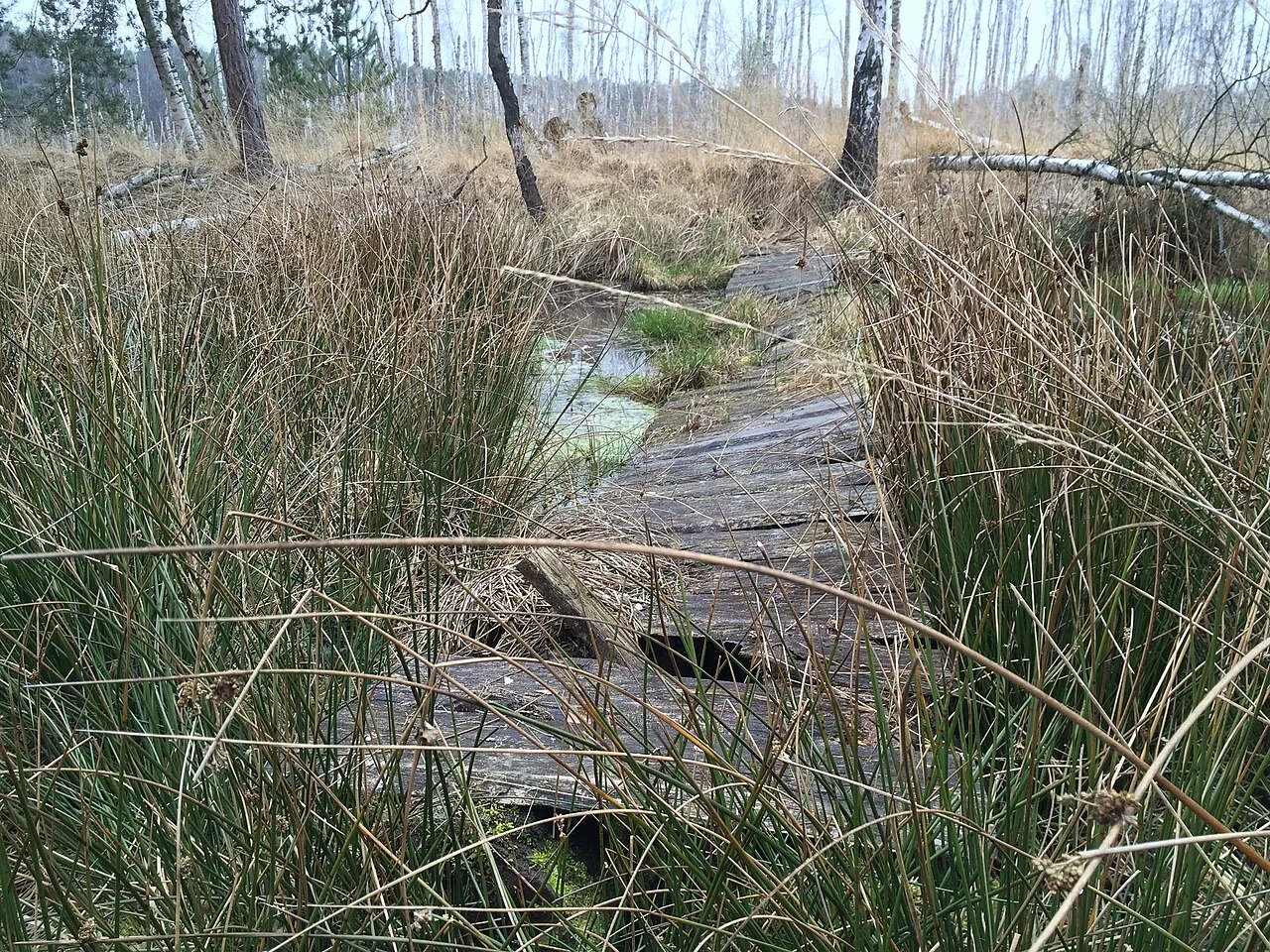 Photo of Hohenleipisch