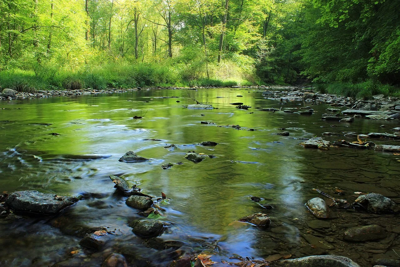 Photo of Hokendauqua