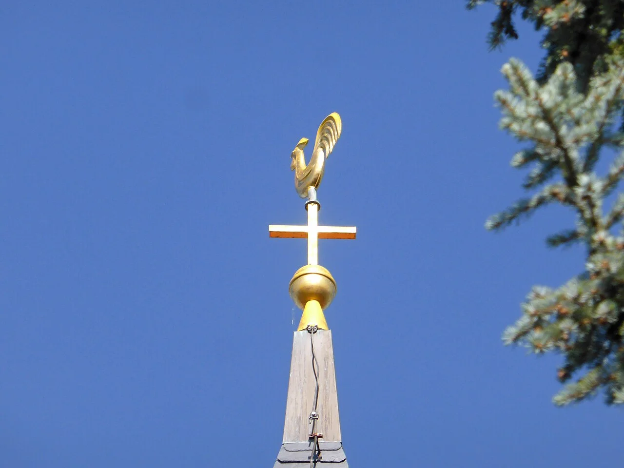 Photo of Holzweißig