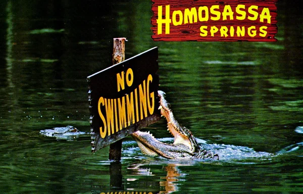 Photo of Homosassa Springs