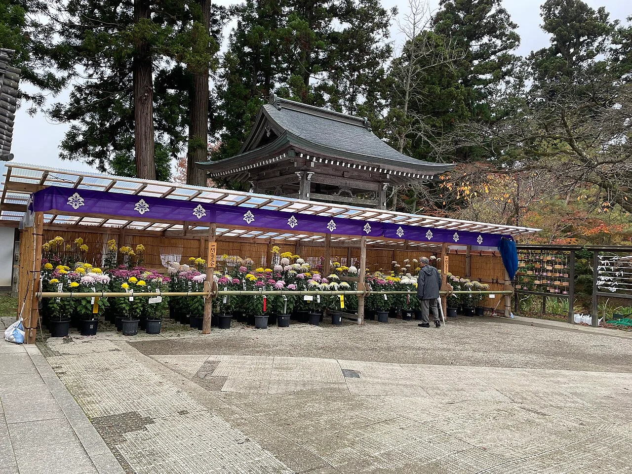 Photo of Hondomachi-hondo