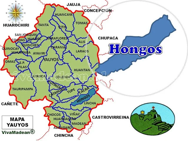 Photo of Hongos