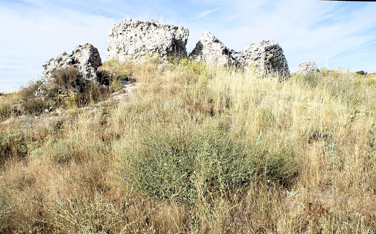 Photo of Hontalbilla