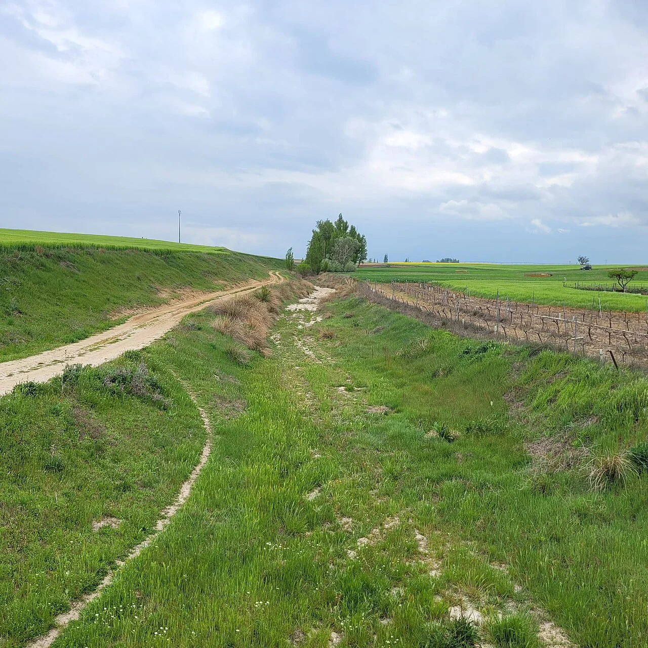 Photo of Horcajo de las Torres