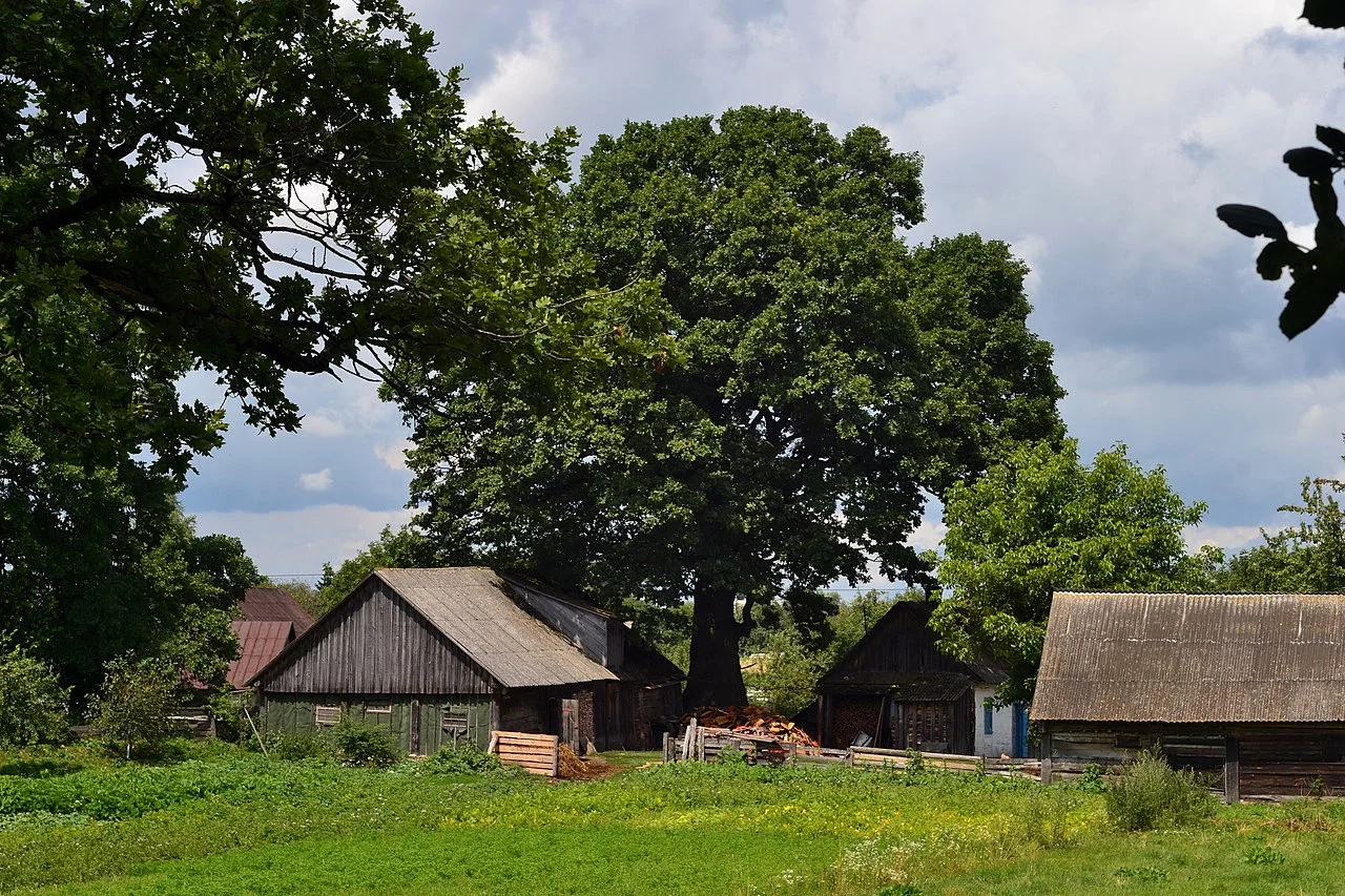 Photo of Horodyshche