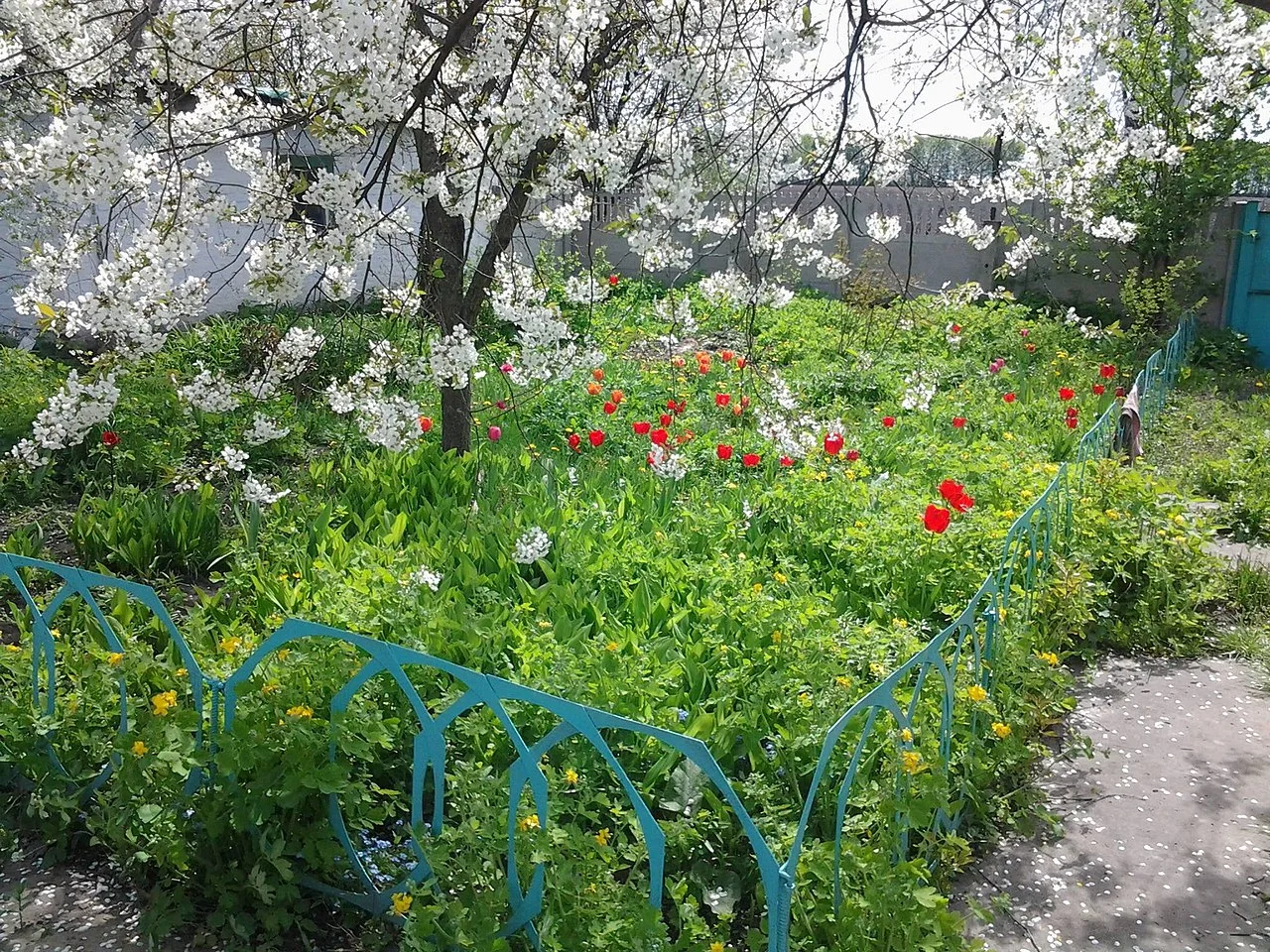 Photo of Horokhivske