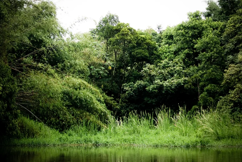 Photo of Hortolândia