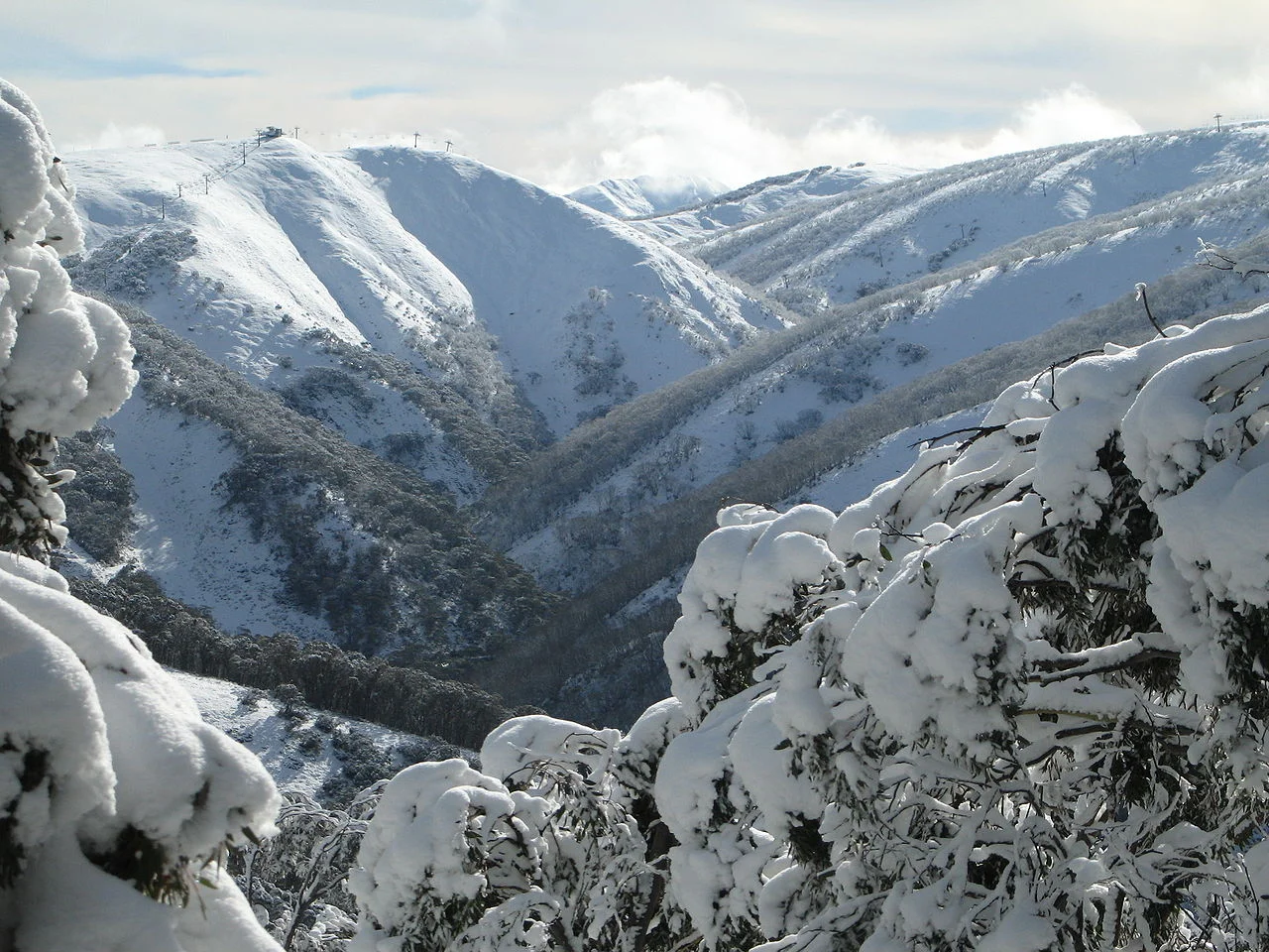 Photo of Hotham Heights