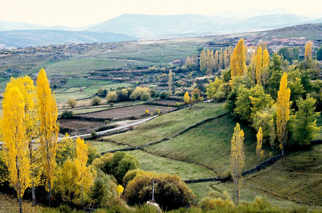 Photo of Hoyos del Collado