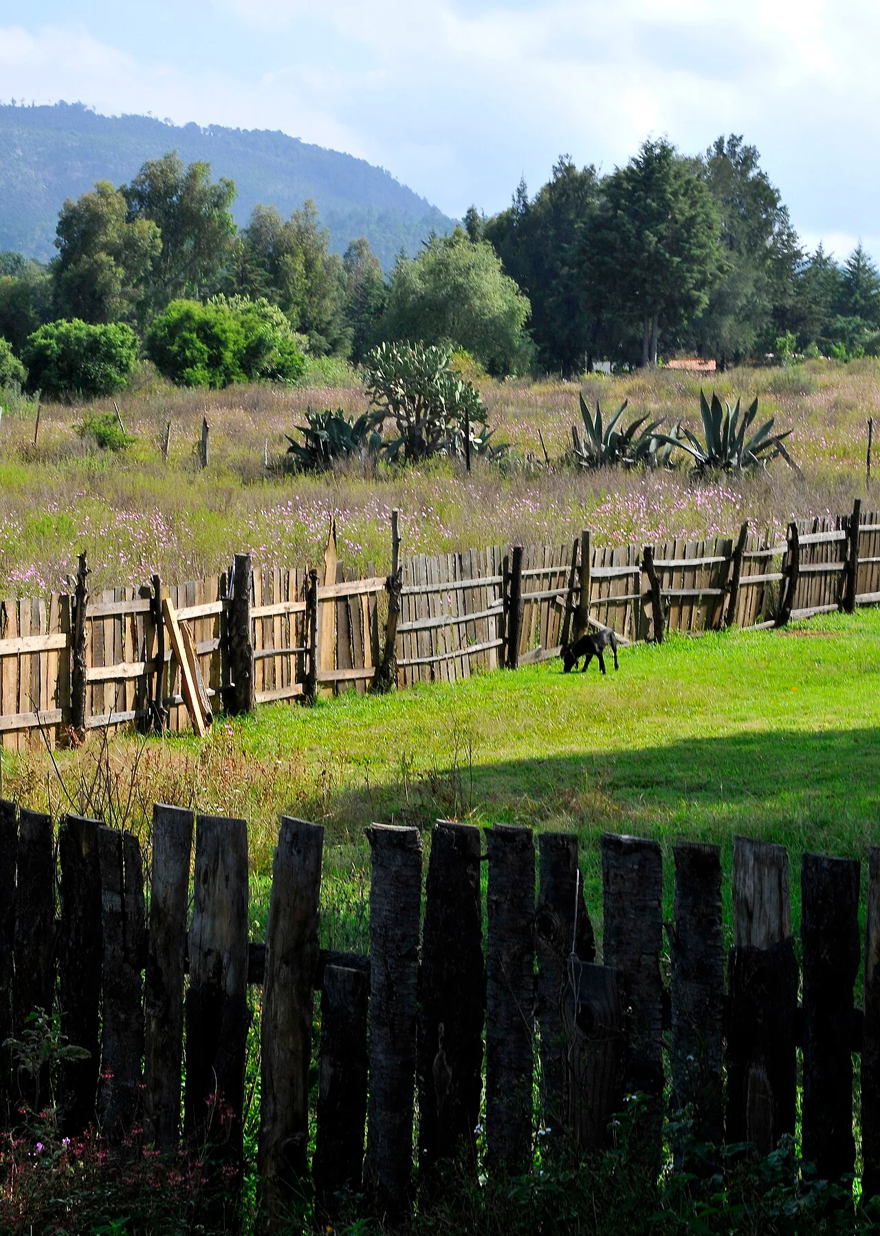 Photo of Huajúmbaro