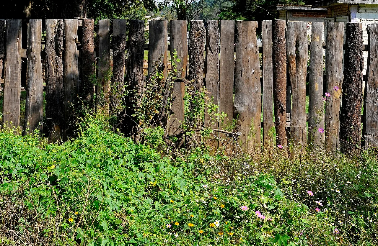 Photo of Huajúmbaro