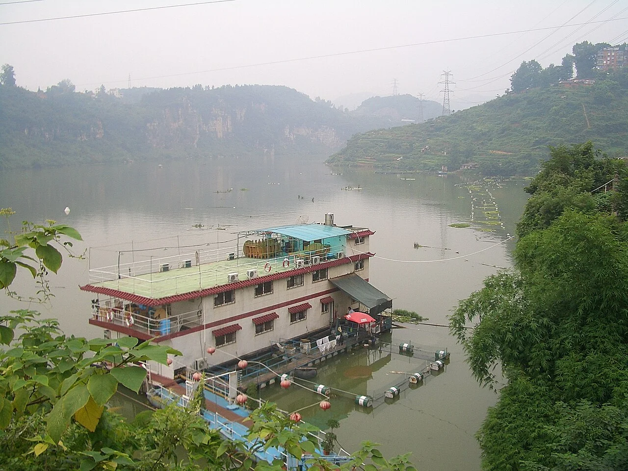 Photo of Huangbai