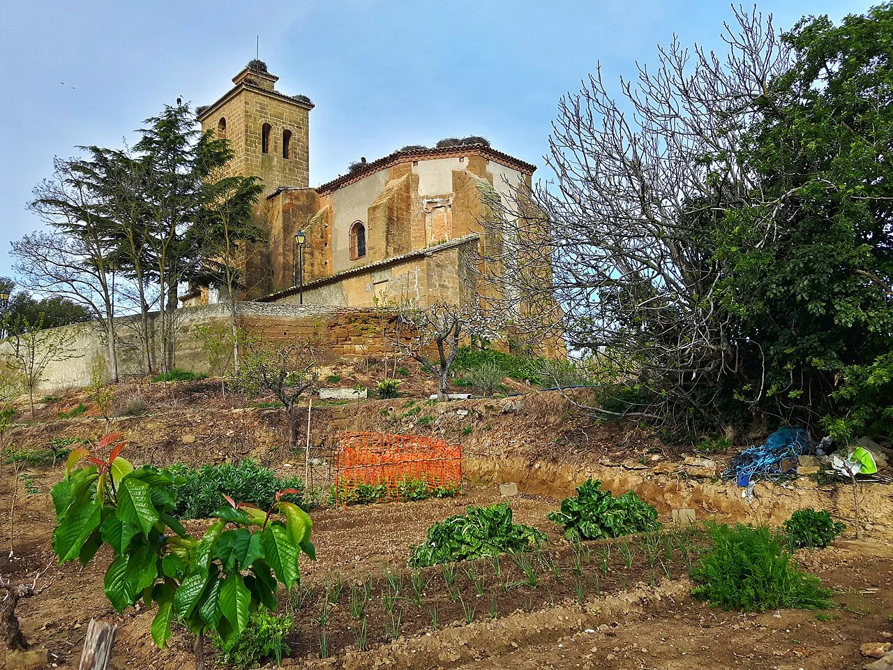 Photo of Huerto