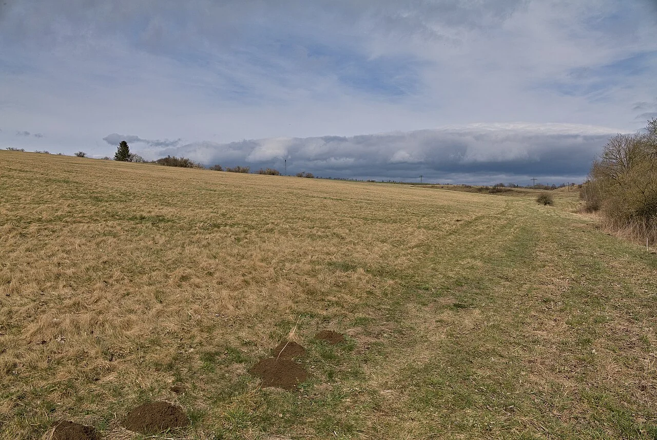 Photo of Hüttenrode