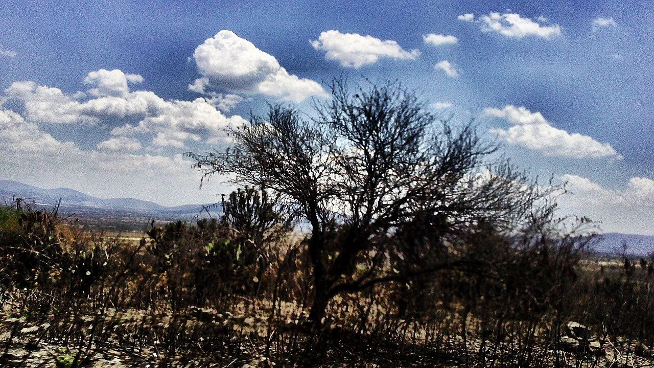 Photo of Huitziltepec