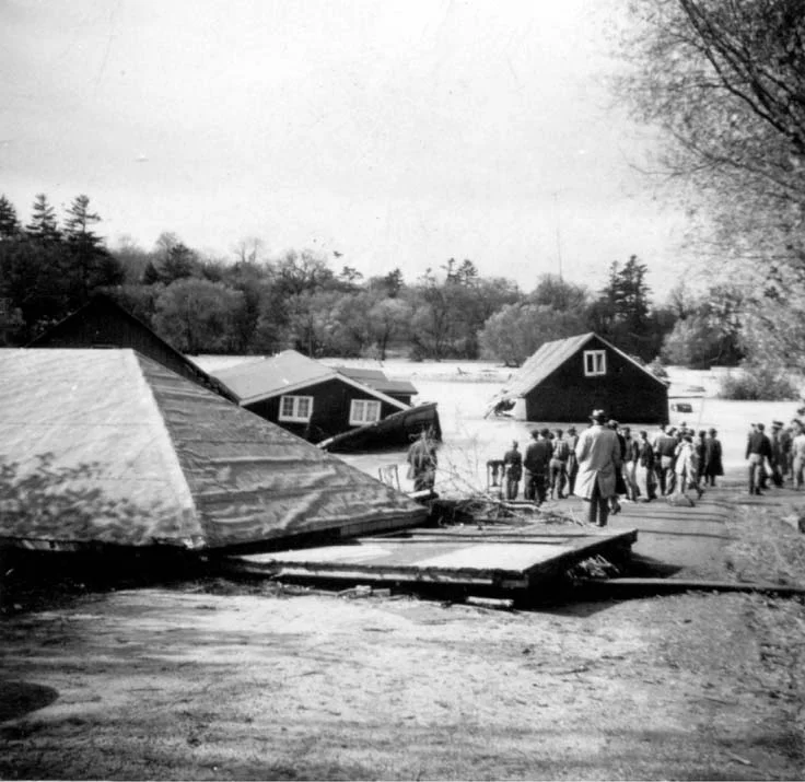 Photo of Humber Heights-Westmount