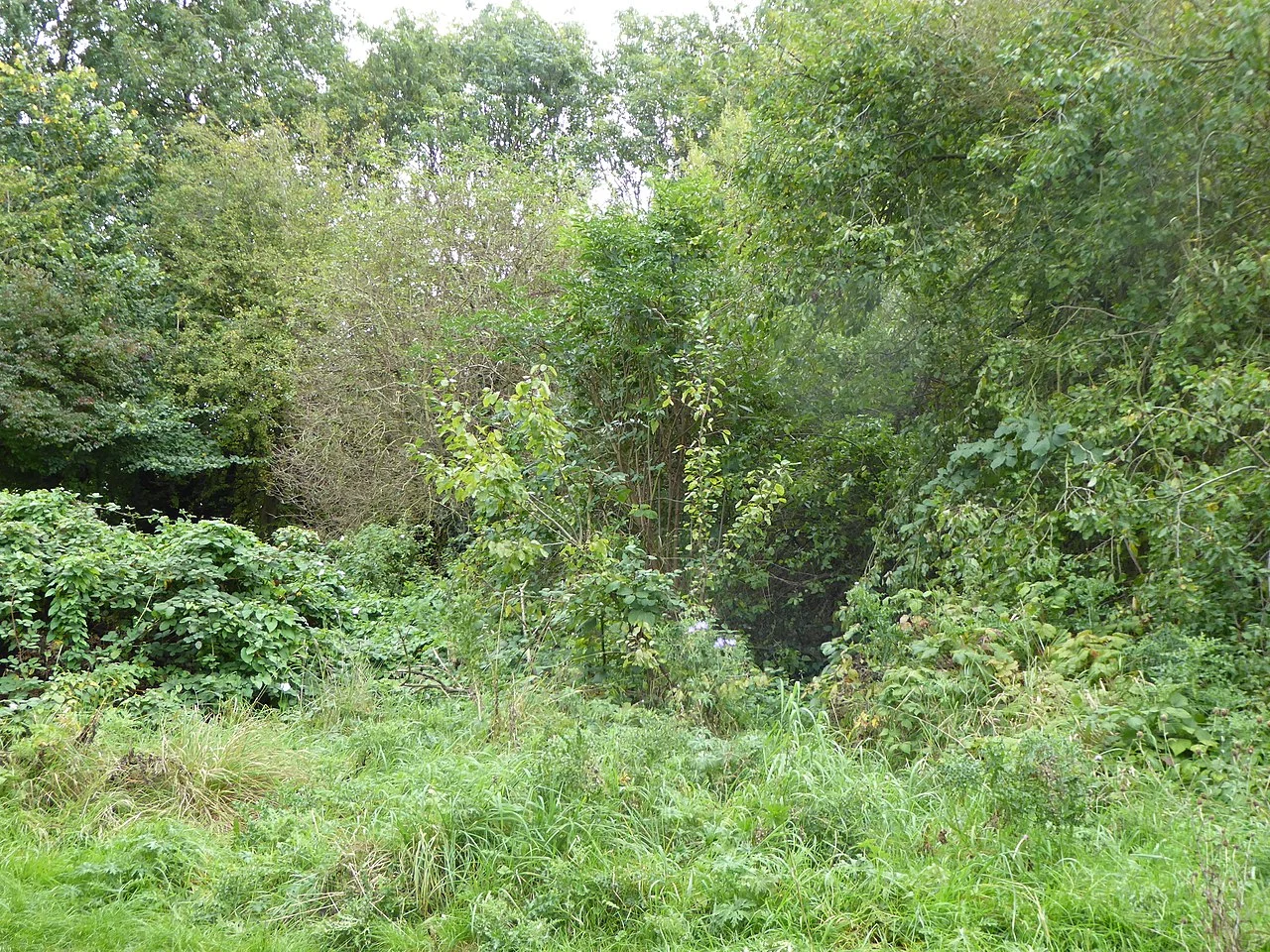 Photo of Humberstone