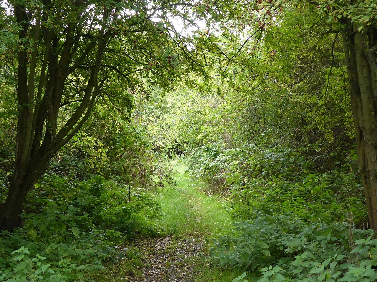 Photo of Humberstone