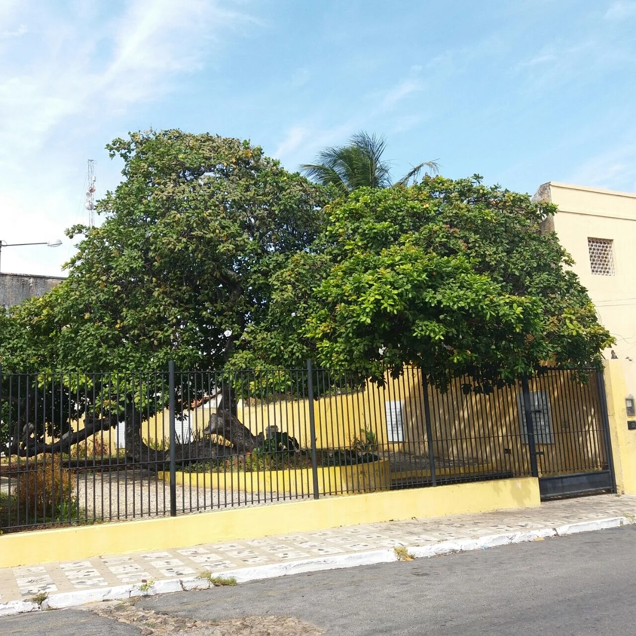 Photo of Humberto de Campos