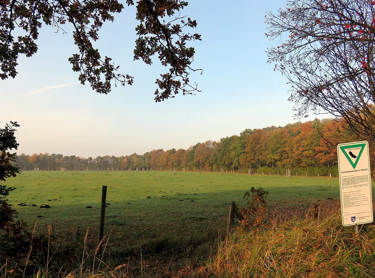 Photo of Hummelsbüttel