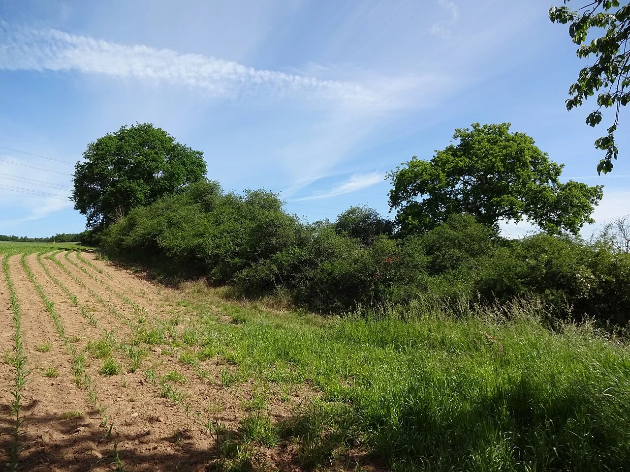 Photo of Hütschenhausen