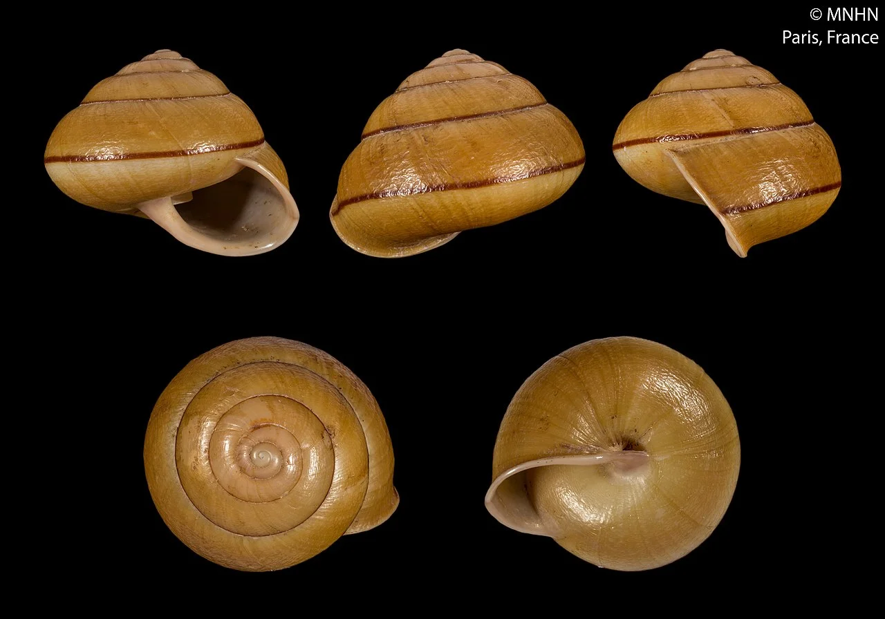 Photo of Hữu Lũng