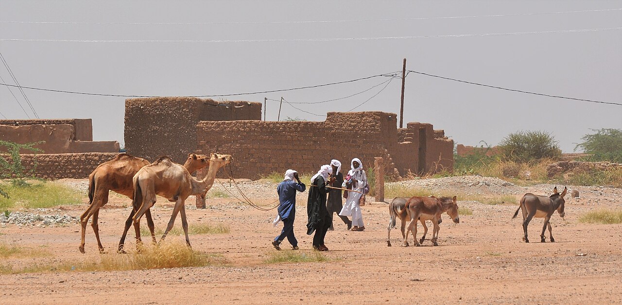 Pedestrians with livestock in In-Gall, a town in central Niger (rural commune of In-Gall, Tchirozerine department, Agadez region).