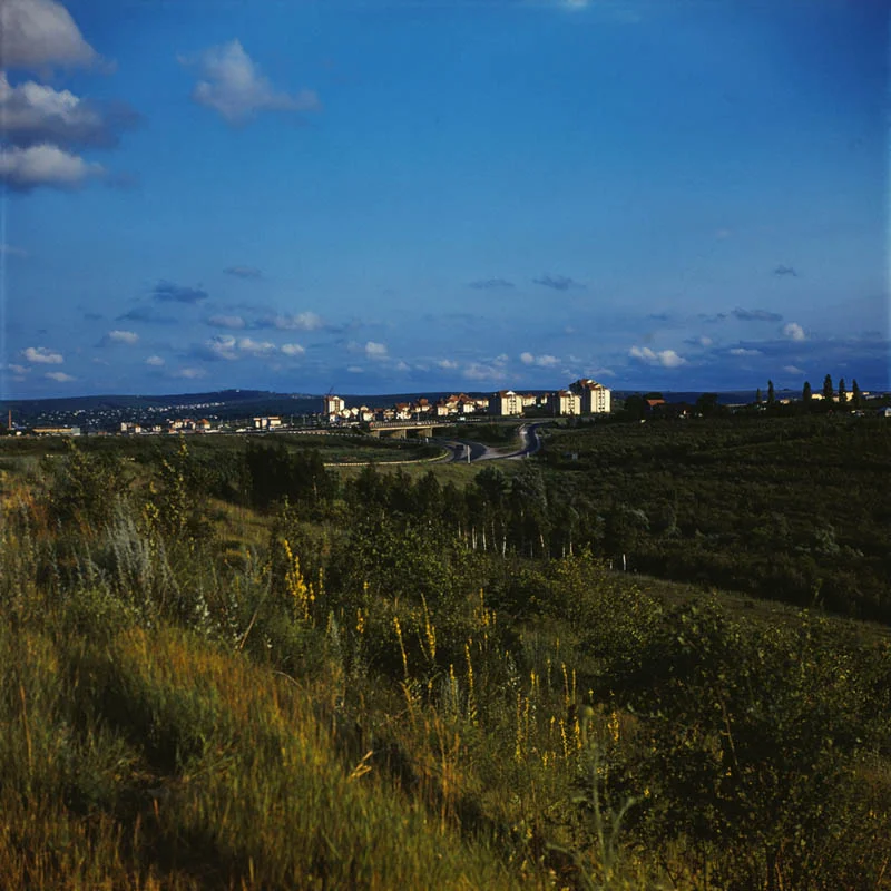 Photo of Ialoveni