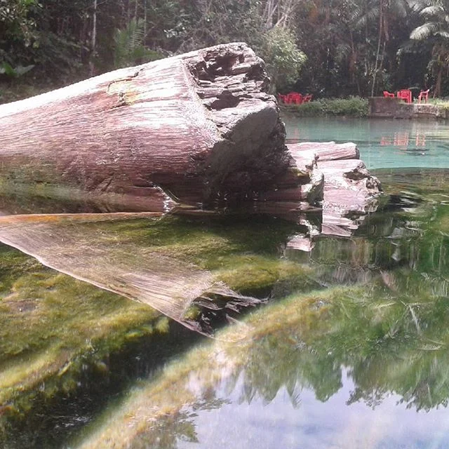 Photo of Igarapé-Açu