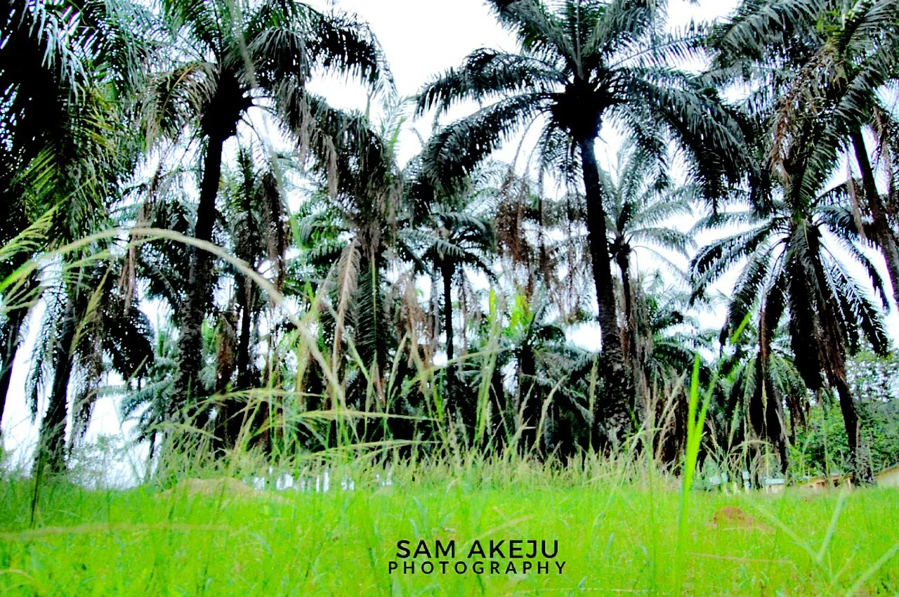 Photo of Ijero-Ekiti
