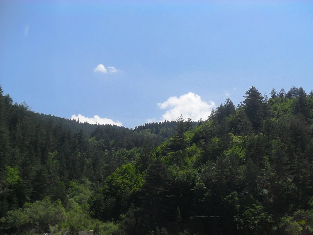 Photo of Ilgaz