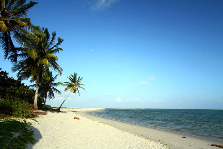 On the small island of Coroa de Aviao, next to the island of Itamaracá, looking out to sea