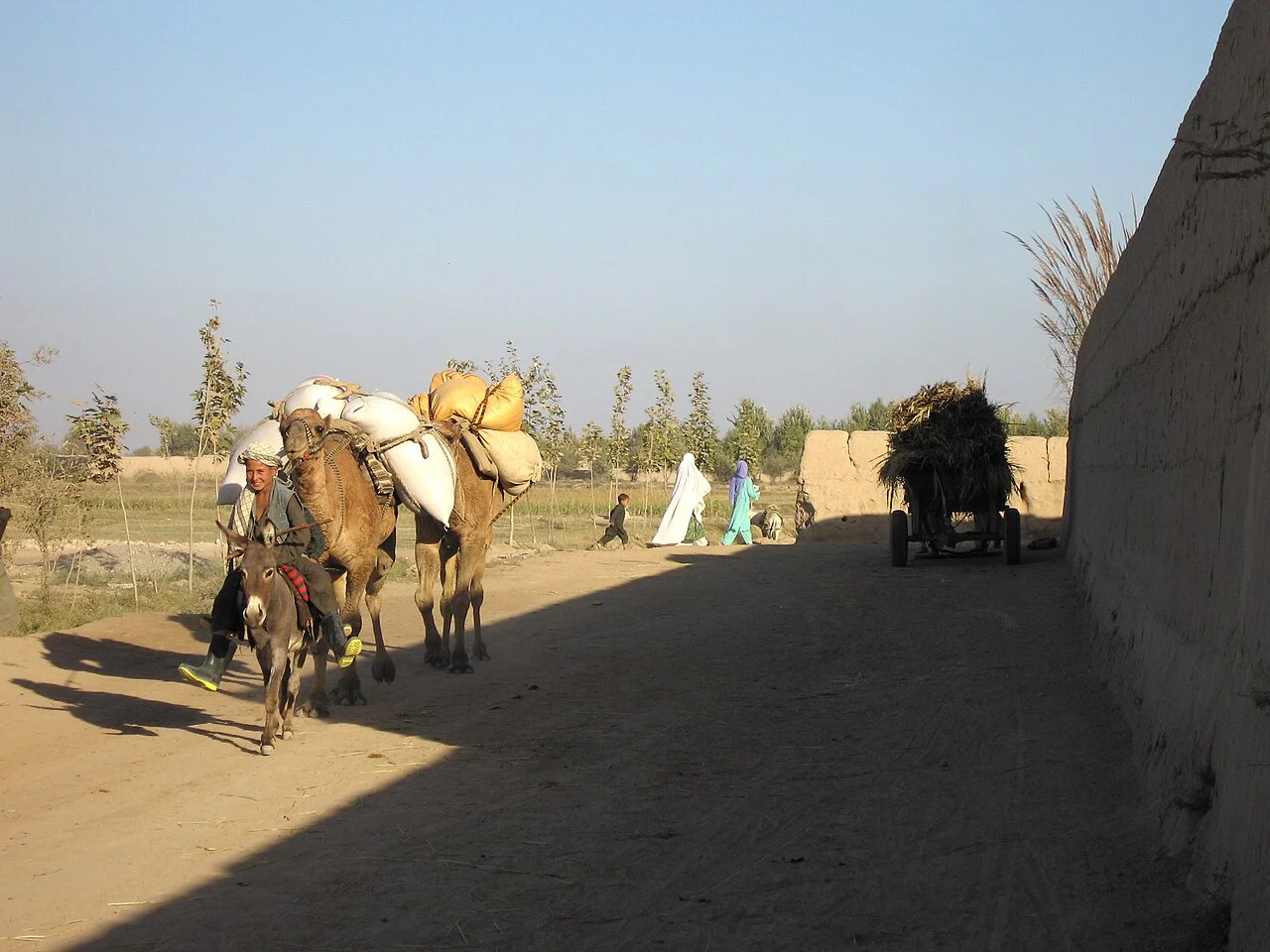 Photo of Imām Şāḩib