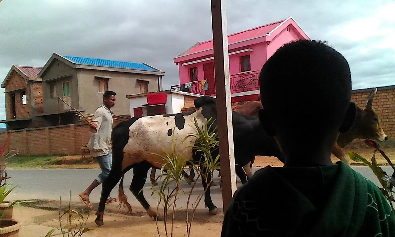 Photo of Imerintsiatosika