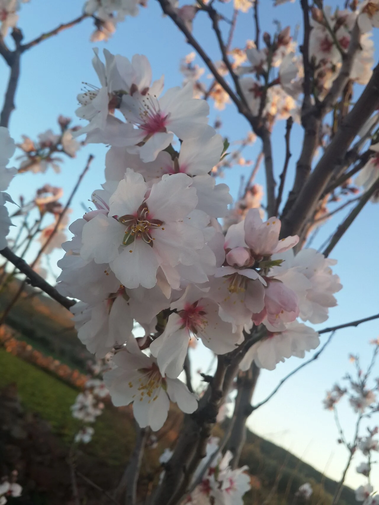 Photo of Imouzzer Kandar