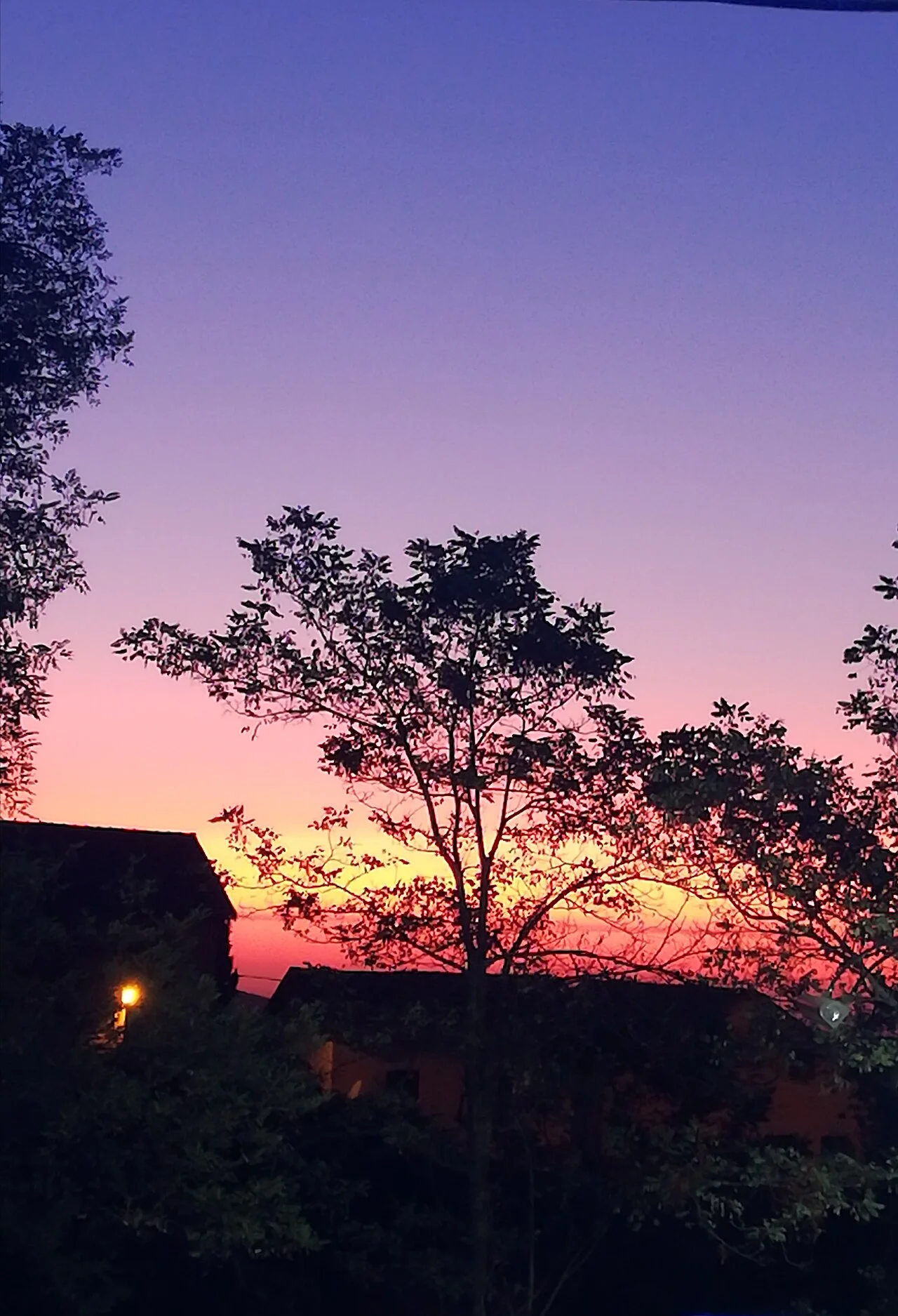 Photo of Imouzzer Kandar