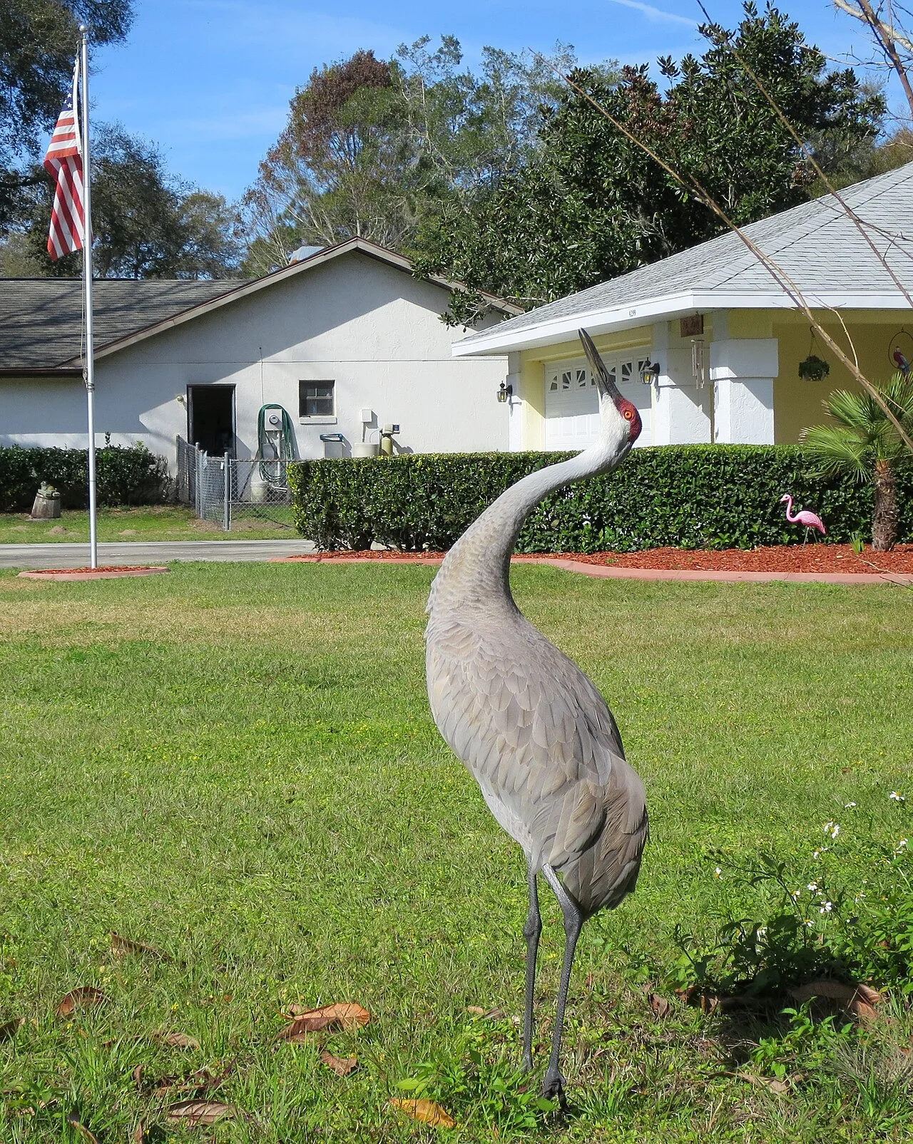 Photo of Inverness Highlands North