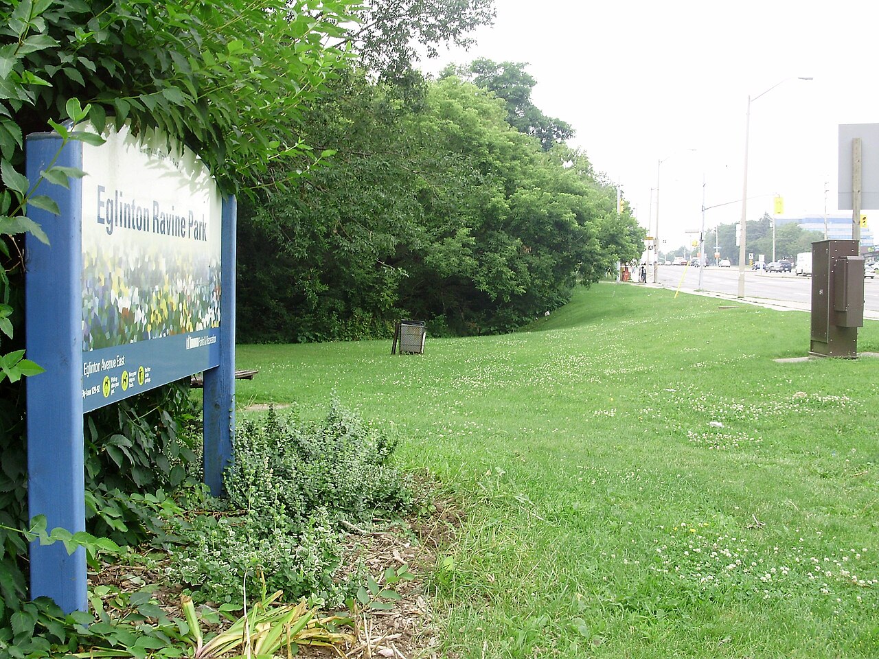 A view of the green space protected by Eglinton Ravine Park in the neighbourhood of Ionview in Scarborough, Canada. The Taylor-Massey Creek, a tributary of the Don River, flows within the ravine surrounded by trees in the center of the photo.