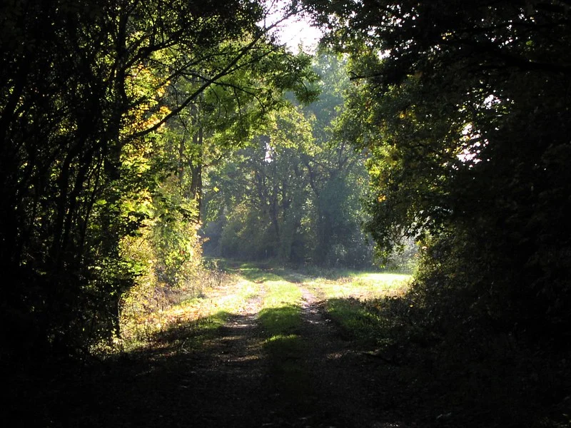 Photo of Isernhagen-Süd