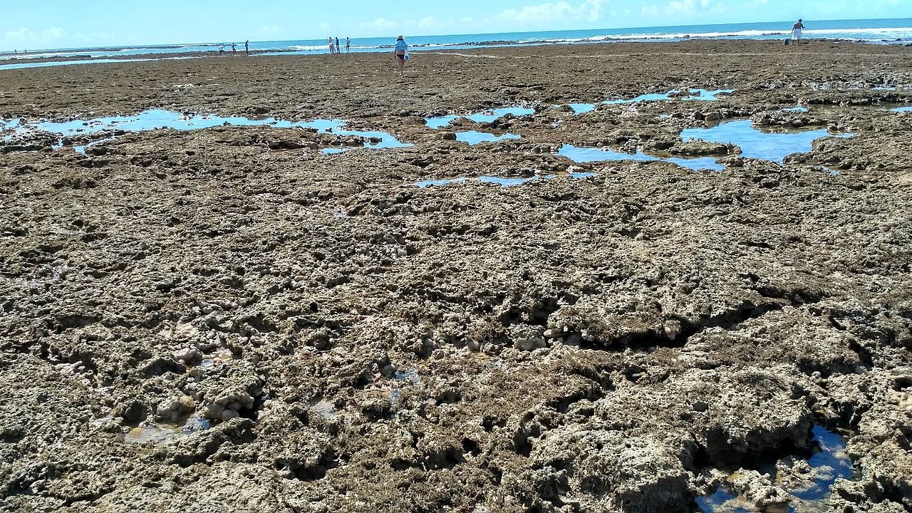 Photo of Itapororoca