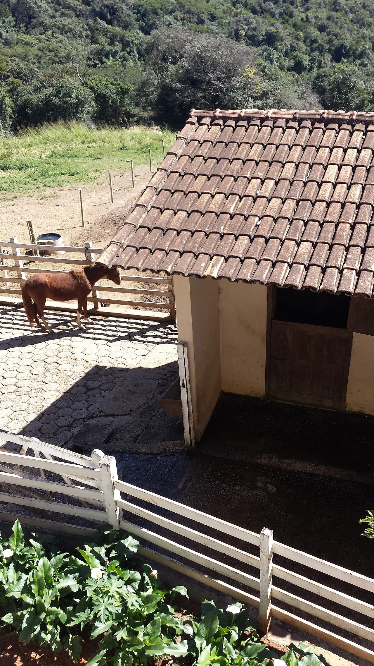 Photo of Itatiaiuçu