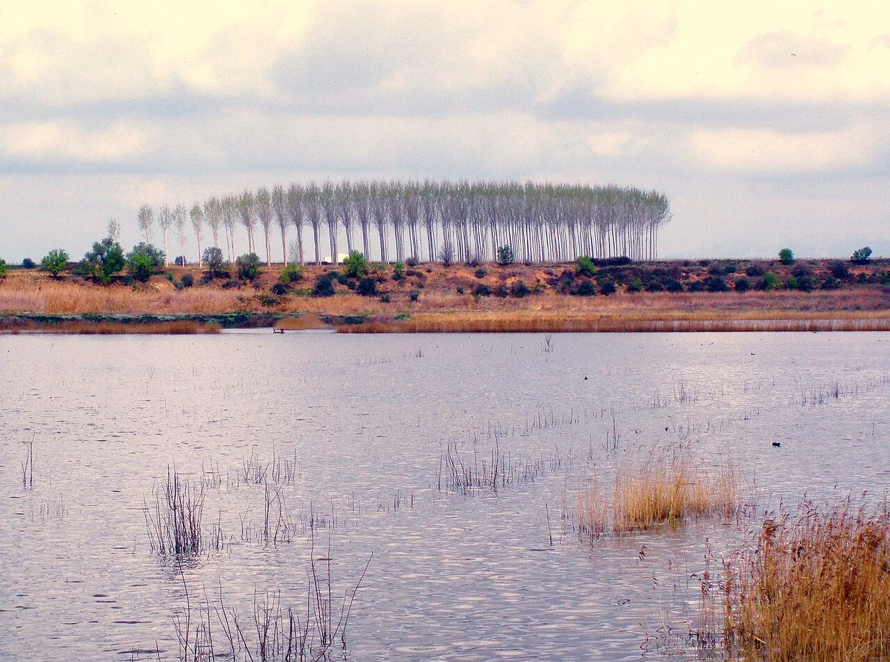 Photo of Ivars d'Urgell