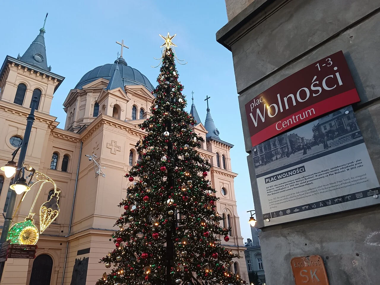 Photo of Jabłoń Dąbrowa