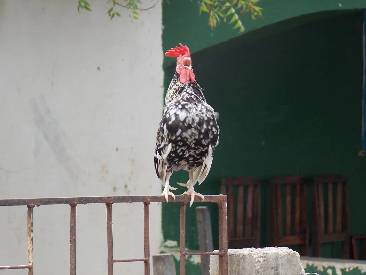 Photo of Jaguaretama