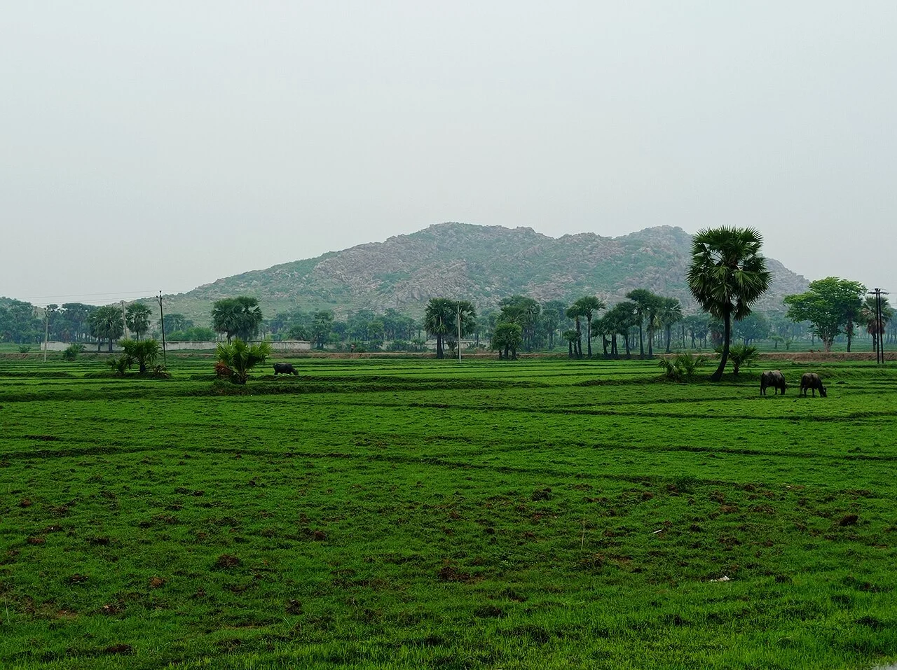 Photo of Jahānābād